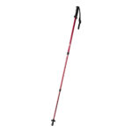 kijki do nordic walking – zdjęcie produktu