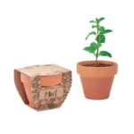 MINT POT – zdjęcie produktu