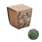 MINT KIT – zdjęcie produktu