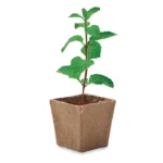 MINT KIT – zdjęcie produktu