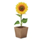 SUNFLOWER KIT – zdjęcie produktu