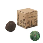 BOMBI II – zdjęcie produktu