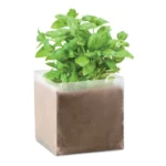BASIL – zdjęcie produktu
