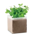 MINT – zdjęcie produktu
