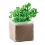 PARSELY – zdjęcie produktu