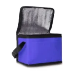 Torba termoizolacyjna na lunch Keep-it-cool – zdjęcie produktu
